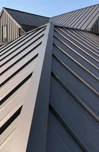 Roof Repair X